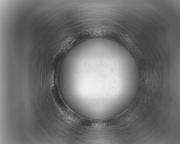 X0000058100694200510071847