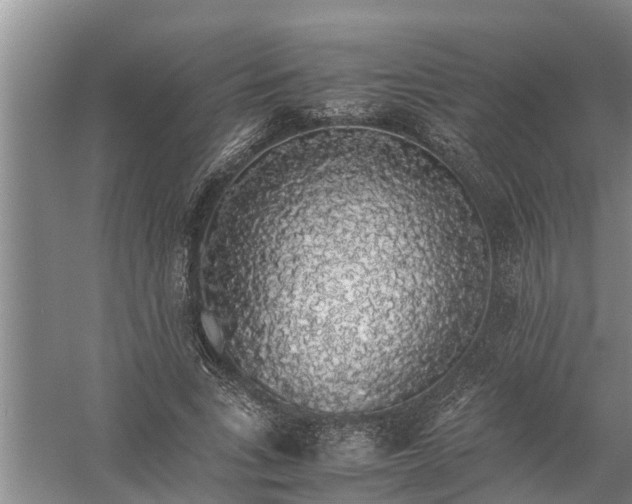X0000058100735200510071846