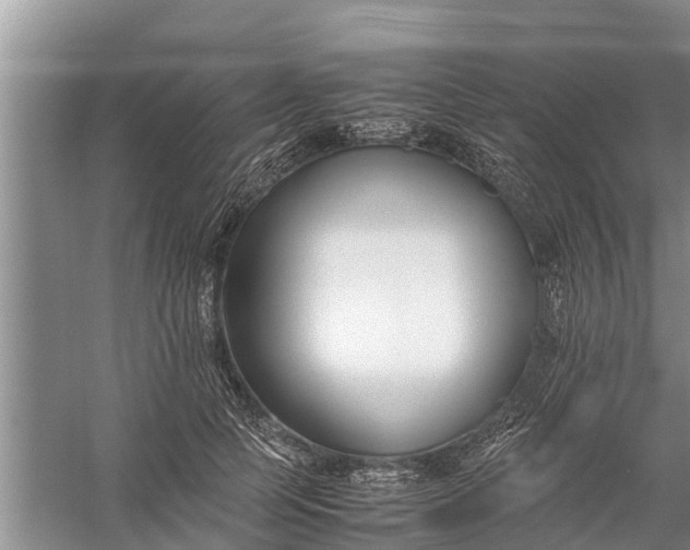 X0000058100745200510071846
