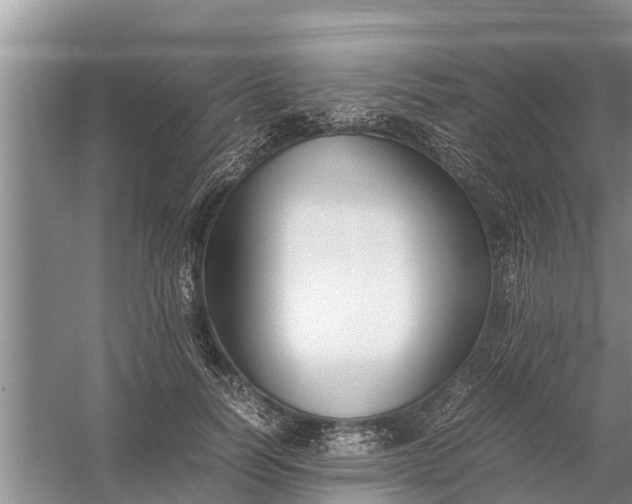 X0000058100746200510071846