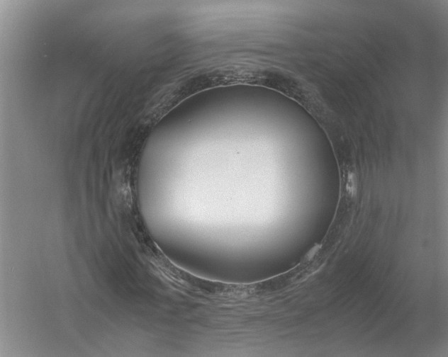 X0000058100771200510071846