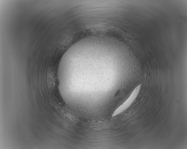 X0000058100772200510071846