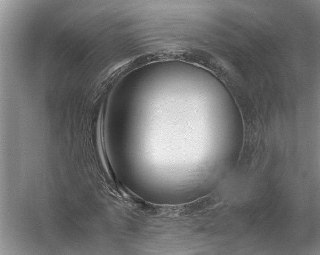 X0000058100773200510071846