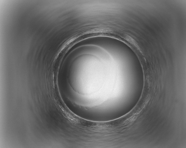 X0000058100781200510071846