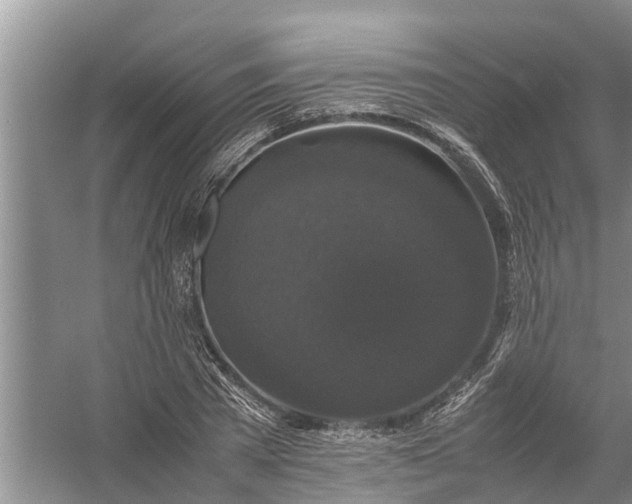 X0000058100785200510071846