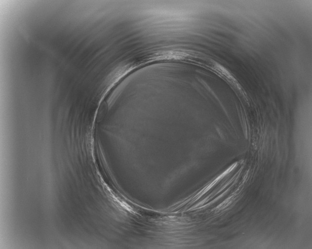 X0000058100802200510071845