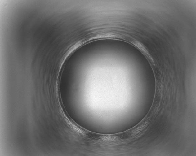 X0000058100805200510071845
