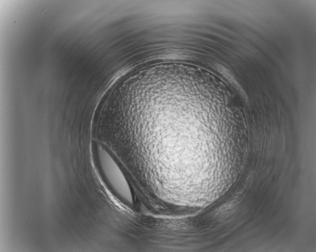 X0000058100845200510071845