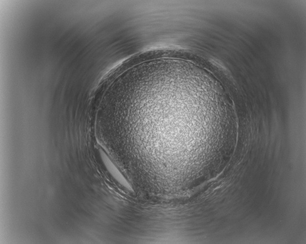 X0000058100872200510071844