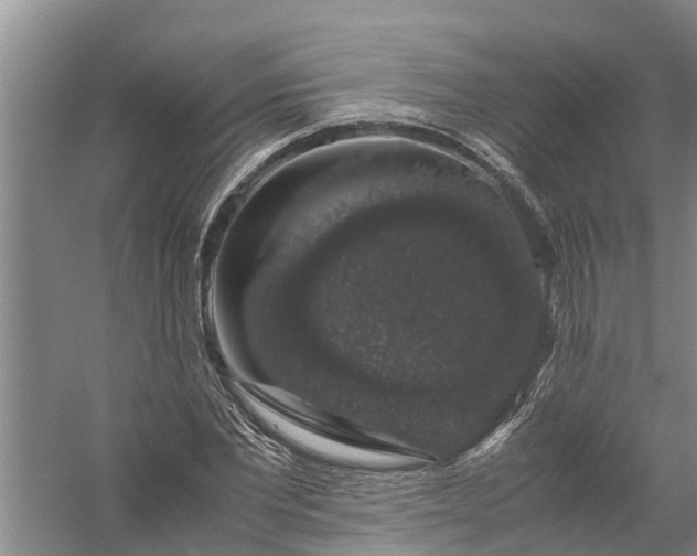 X0000058100877200510071844