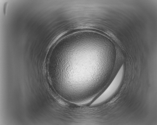 X0000058100885200510071844