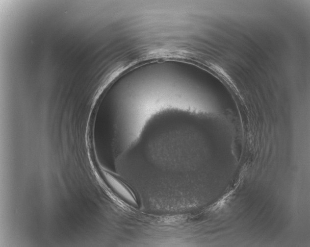 X0000058100893200510071844