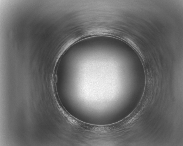 X0000058100901200510071844