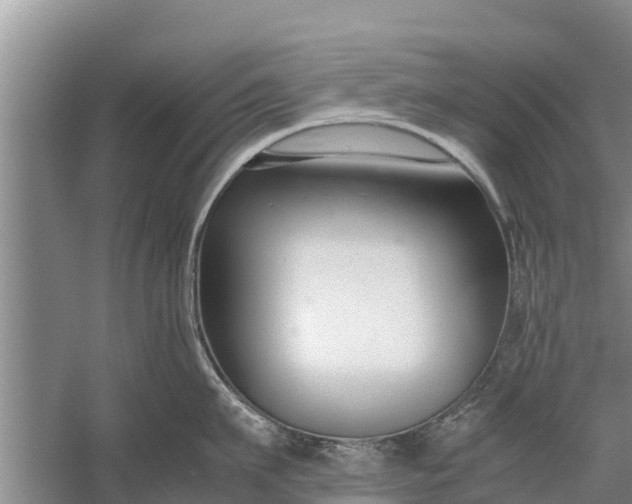 X0000058100911200510071844