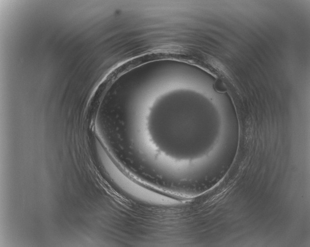 X0000058100923200510071843