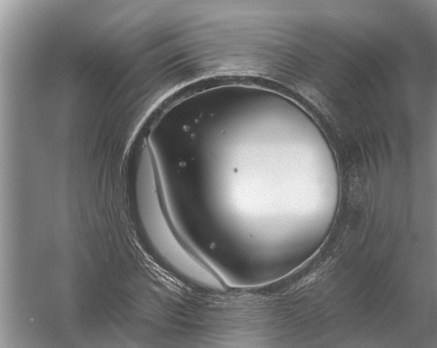 X0000058100926200510071843