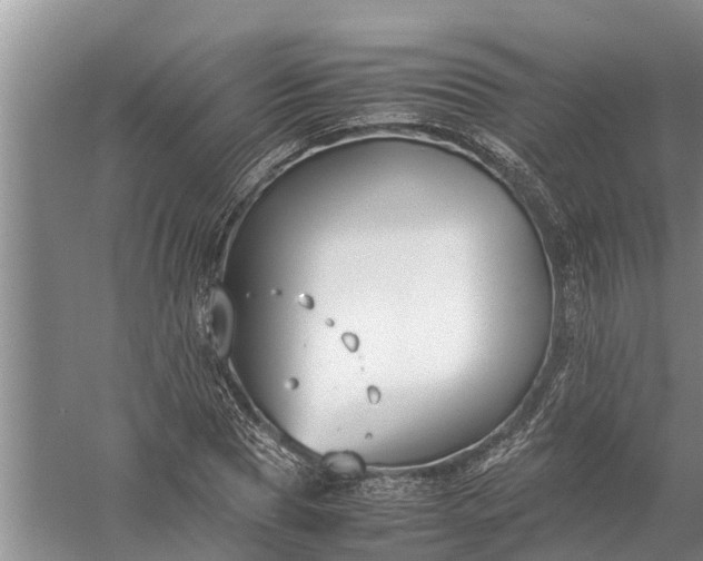 X0000058100929200510071843