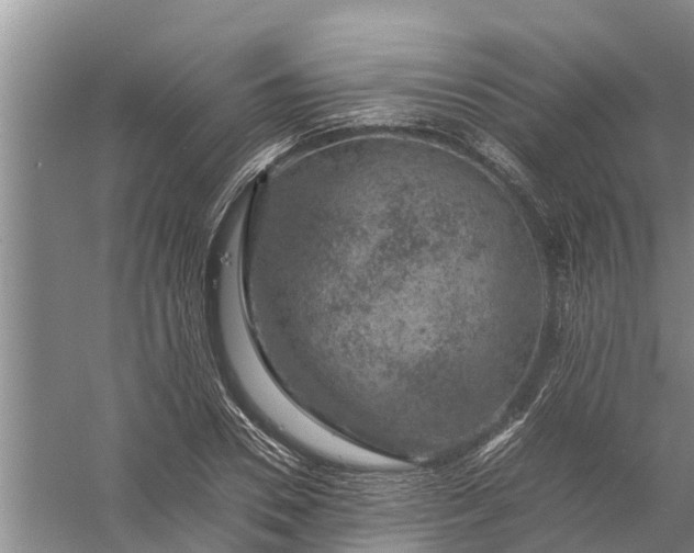 X0000058100930200510071843