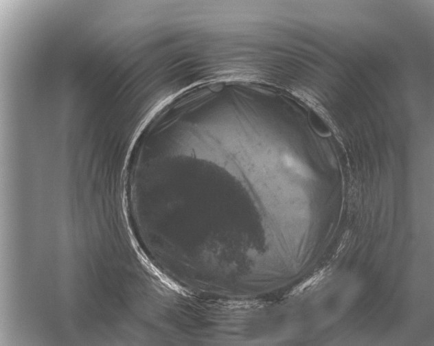 X0000058100941200510071843