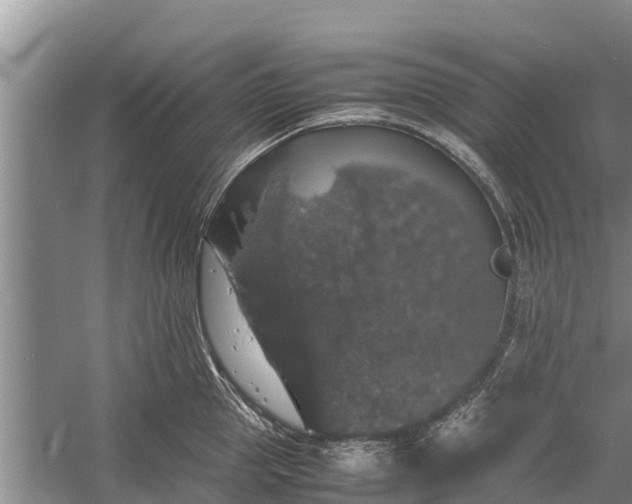 X0000058100953200510071843