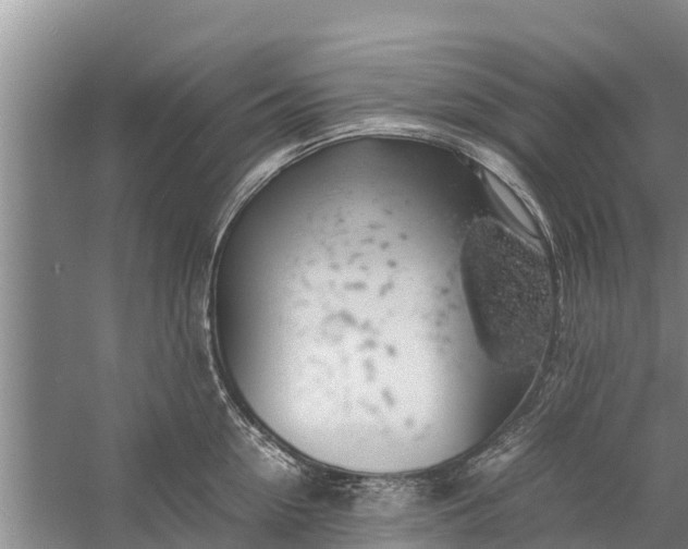 X0000058100954200510071843