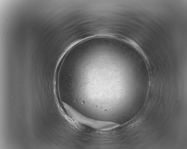 X0000058100955200510071843