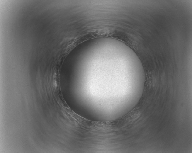 X0000058100962200510071843