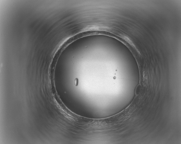 X0000058100972200510071843