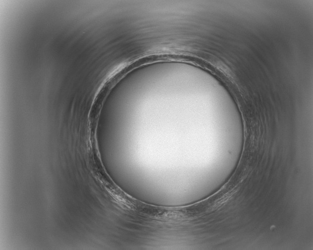 X0000058100974200510071843