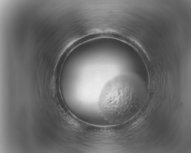 X0000058100975200510071843