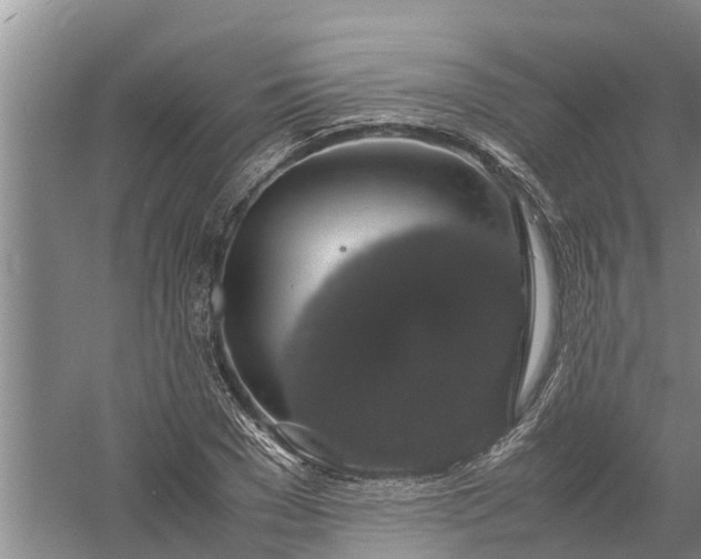 X0000058100977200510071842