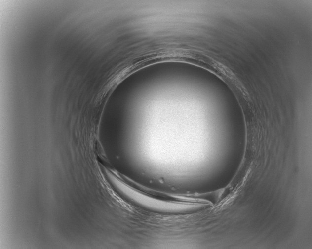 X0000058100985200510071842