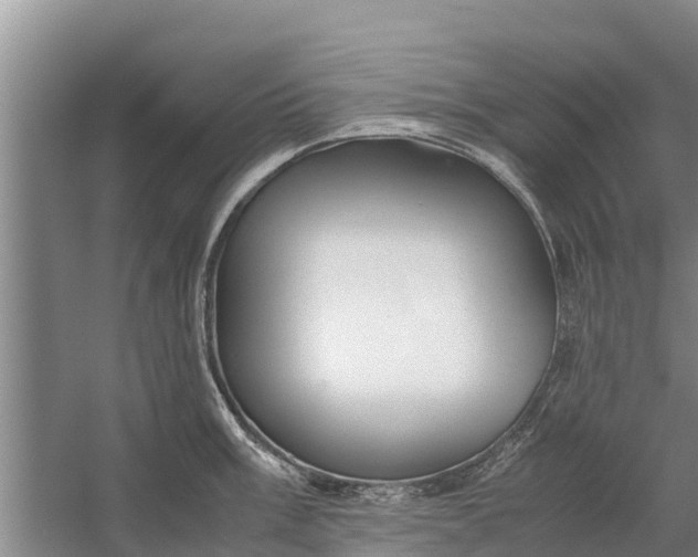 X0000058101003200510071842