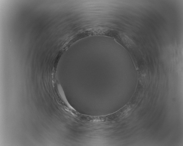 X0000058101010200510071841