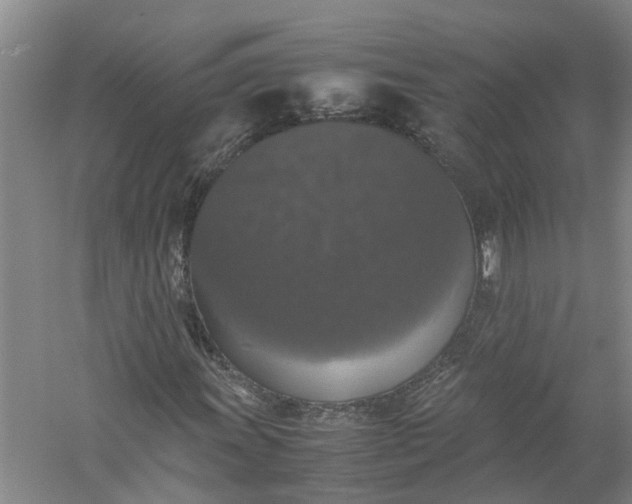X0000058101011200510071841