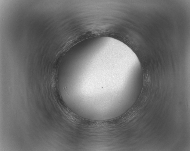 X0000058101012200510071841