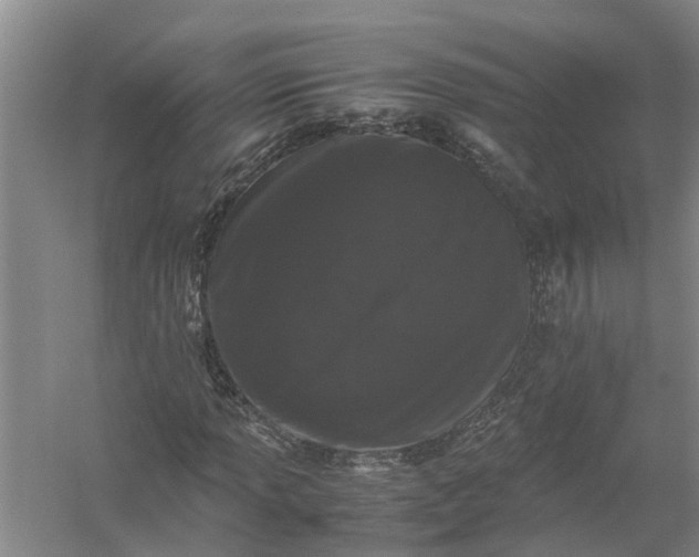 X0000058101013200510071841