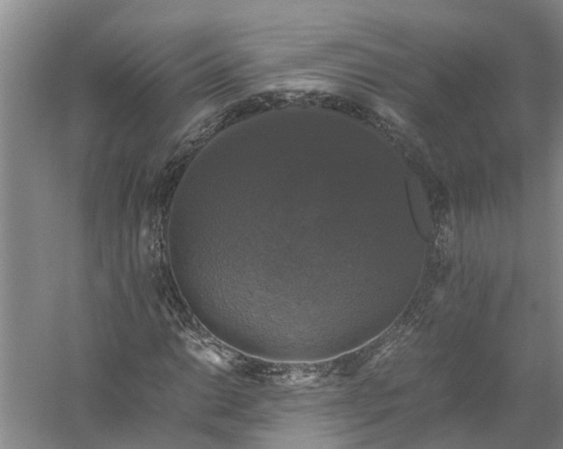 X0000058101014200510071841