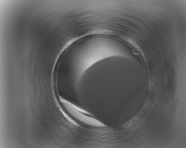 X0000058101037200510071842