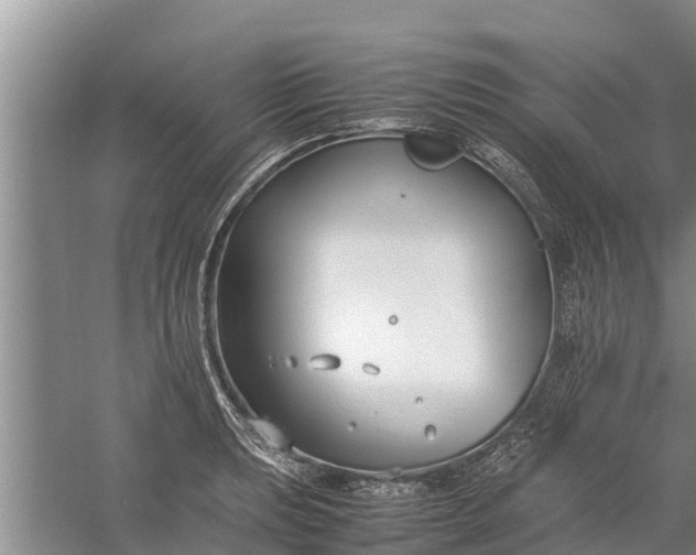 X0000058101039200510071842