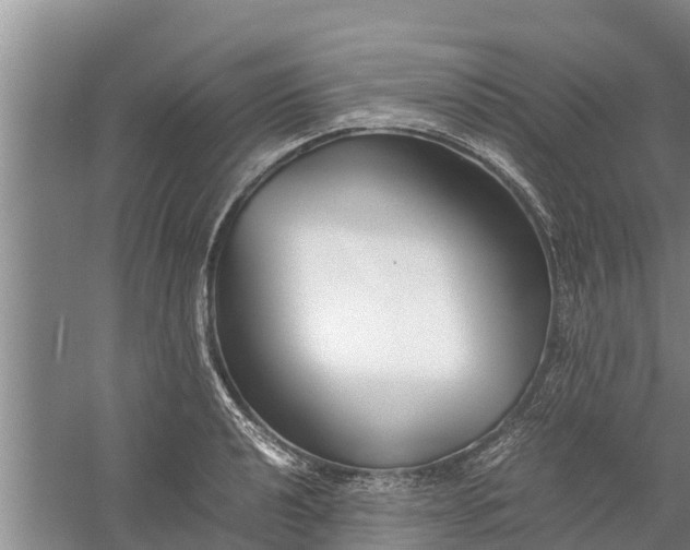 X0000058101040200510071842