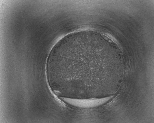 X0000058101055200510071842