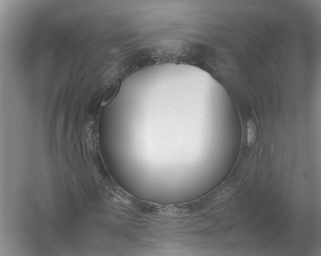 X0000058101059200510071841