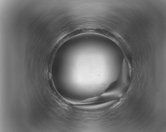 X0000058101065200510071841