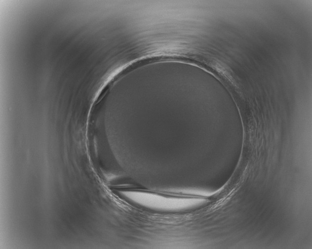 X0000058101077200510071841