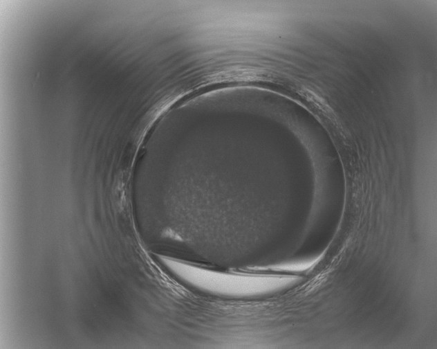 X0000058101081200510071841