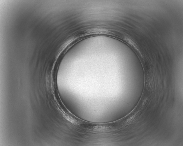 X0000058101082200510071841