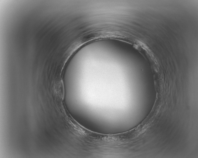 X0000058101089200510071841