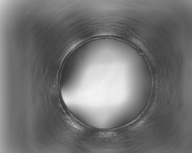 X0000058101129200510071840