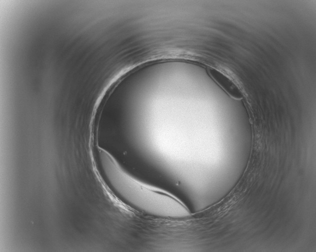 X0000058101136200510071840